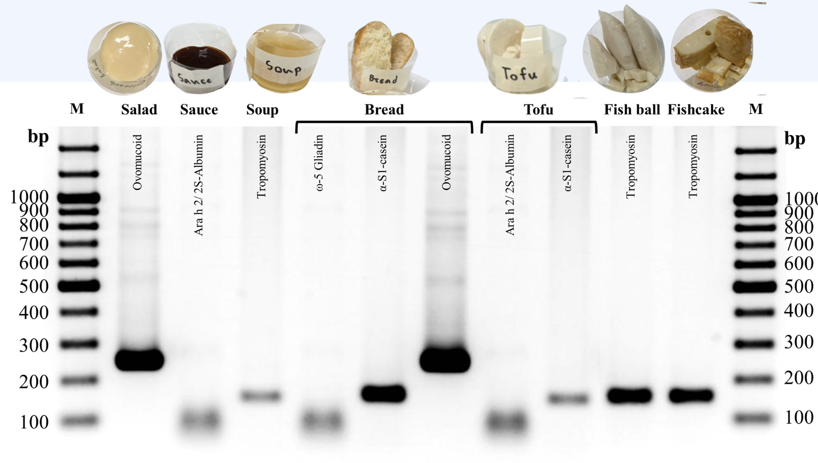 Gel electrophoresis results showing allergen detection across salad, sauce, soup, bread, tofu, fish ball, and fishcake samples.